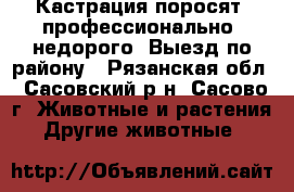 Кастрация поросят, профессионально, недорого. Выезд по району - Рязанская обл., Сасовский р-н, Сасово г. Животные и растения » Другие животные   